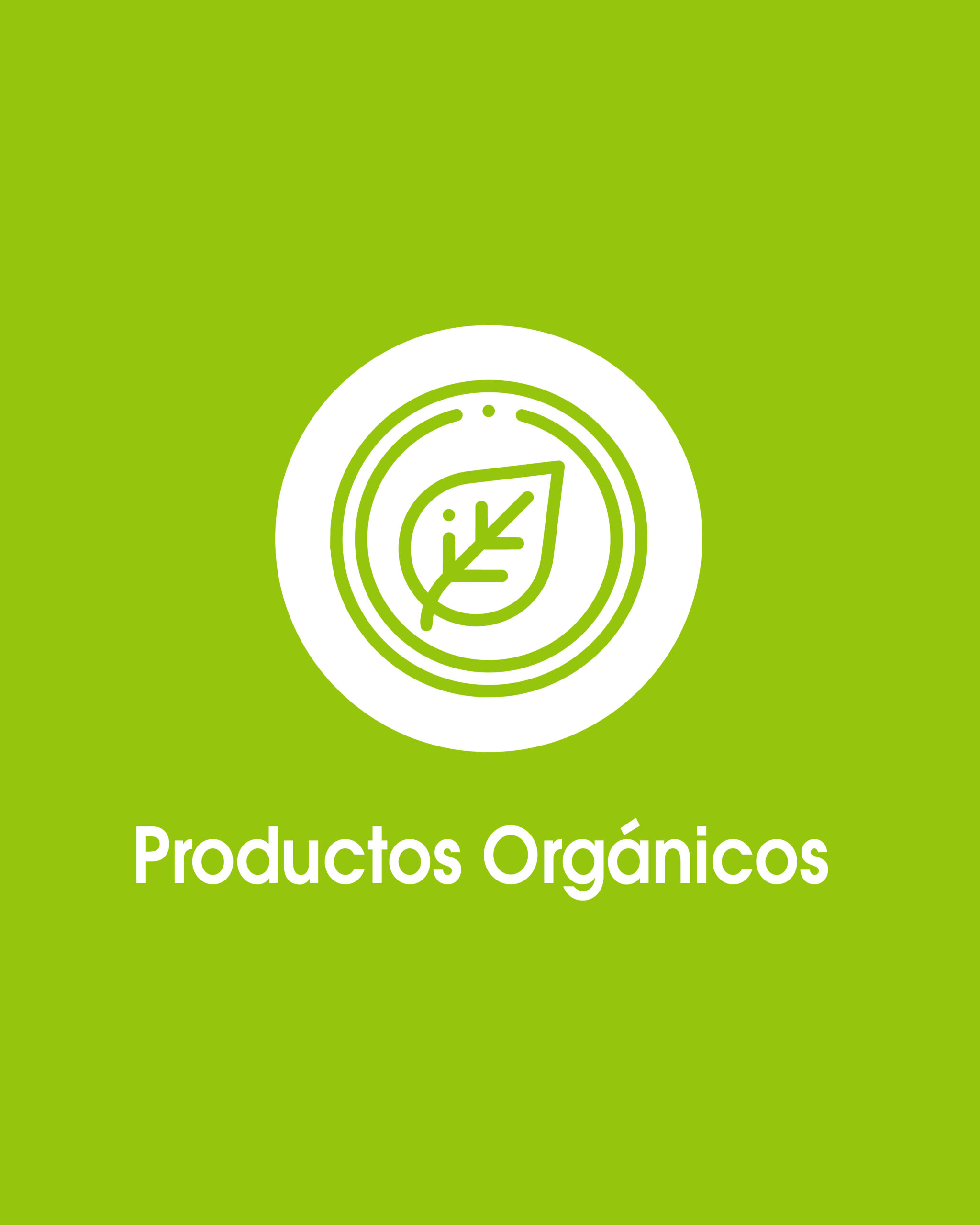 Tipo de productos-Snack fit -08