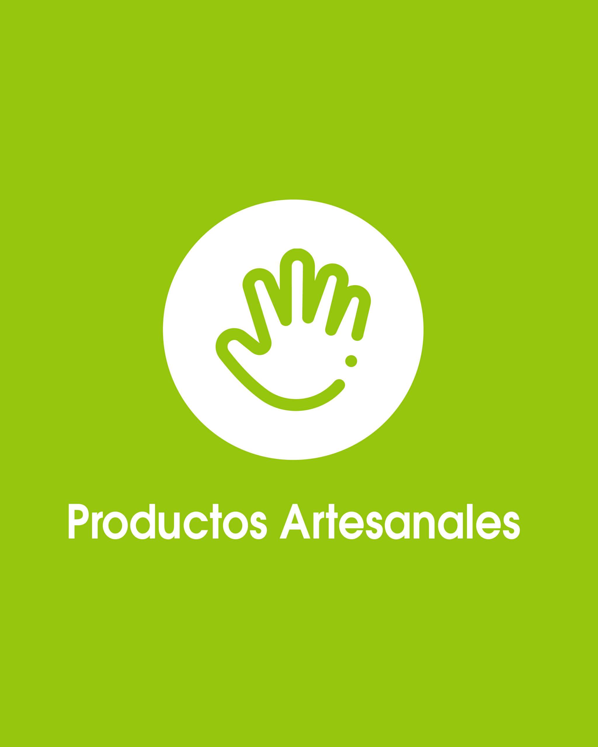 Tipo de productos-Snack fit -10