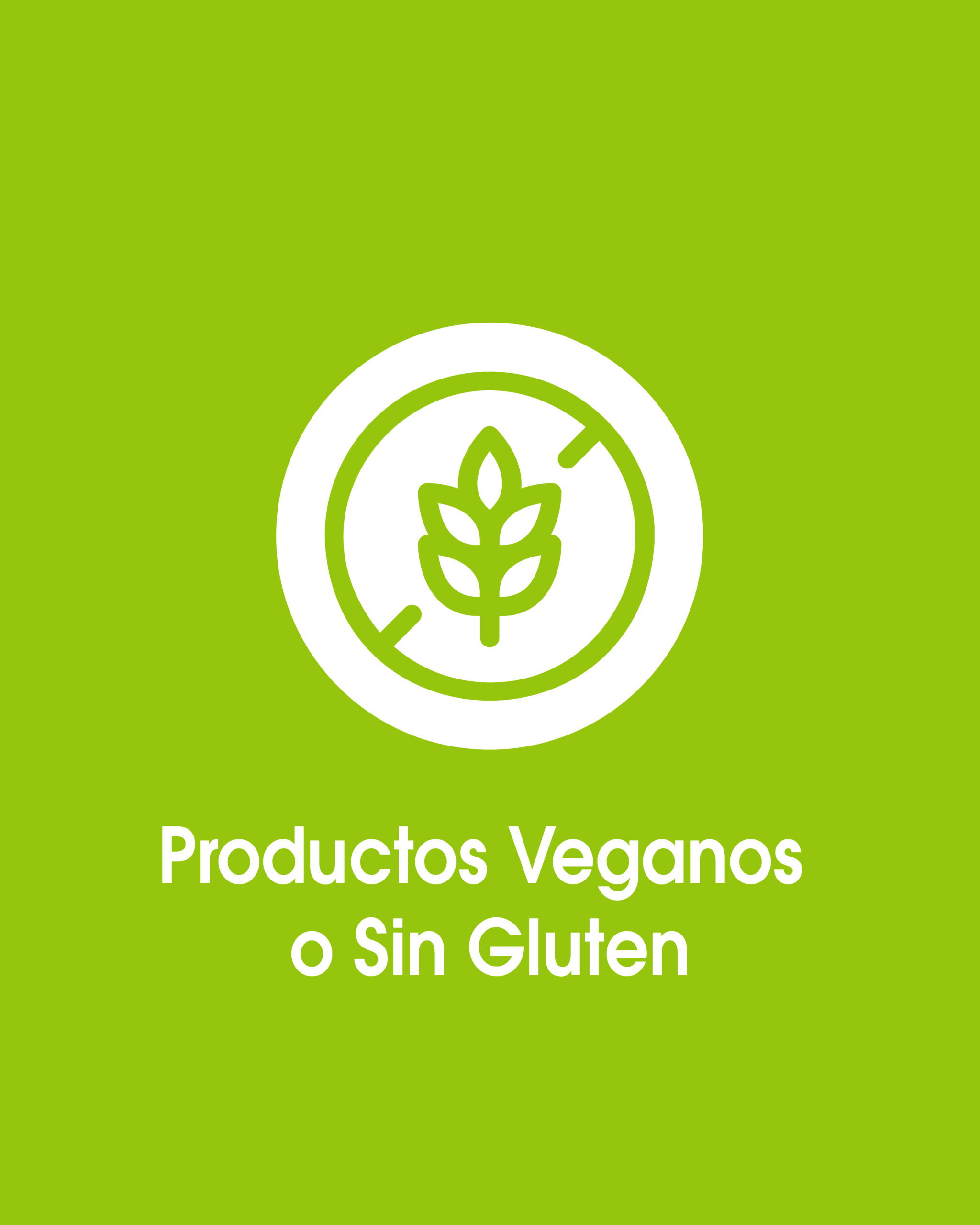 Tipo de productos-Snack fit -12